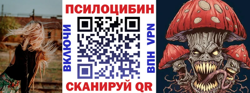 где можно купить наркотик Зарайск darknet состав Псилоцибиновые грибы GOLDEN TEACHER